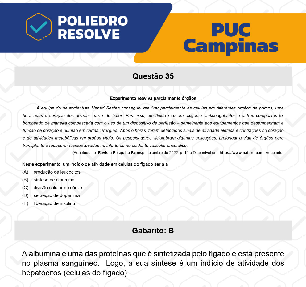 Questão 35 - Prova Geral e Medicina - PUC-Campinas 2023