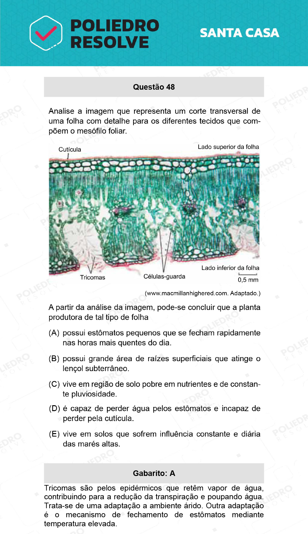 Questão 48 - 1º Dia - SANTA CASA 2022