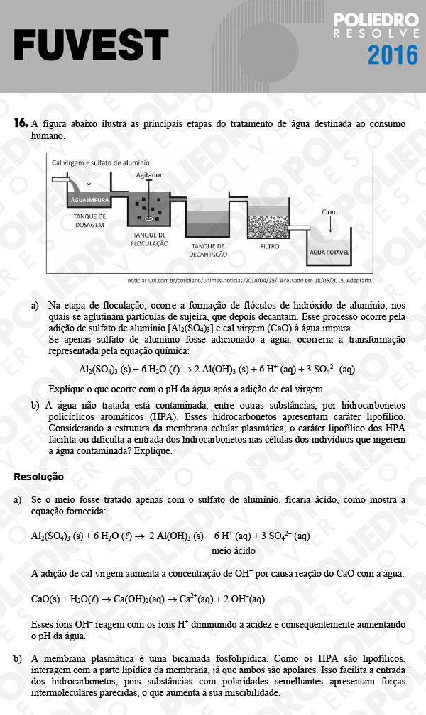 Dissertação 16 - 2ª Fase - 2º Dia - FUVEST 2016