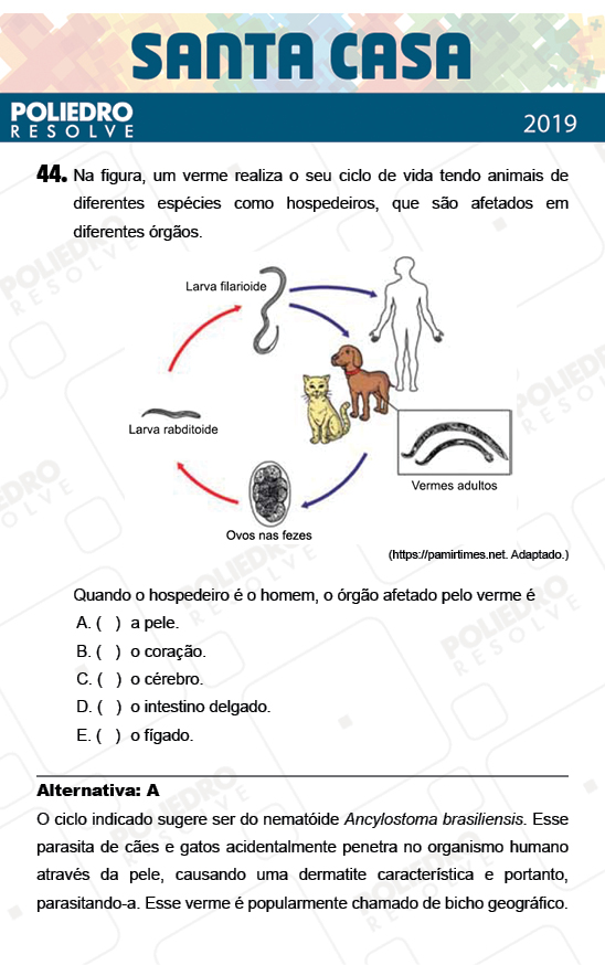 Questão 44 - 2º Dia - Objetivas - SANTA CASA 2019