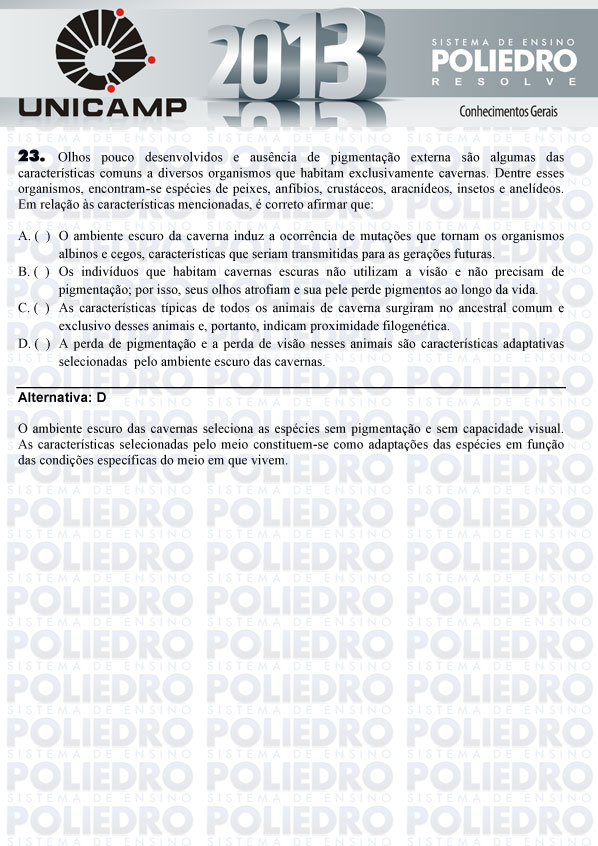 Questão 23 - 1ª Fase - UNICAMP 2013