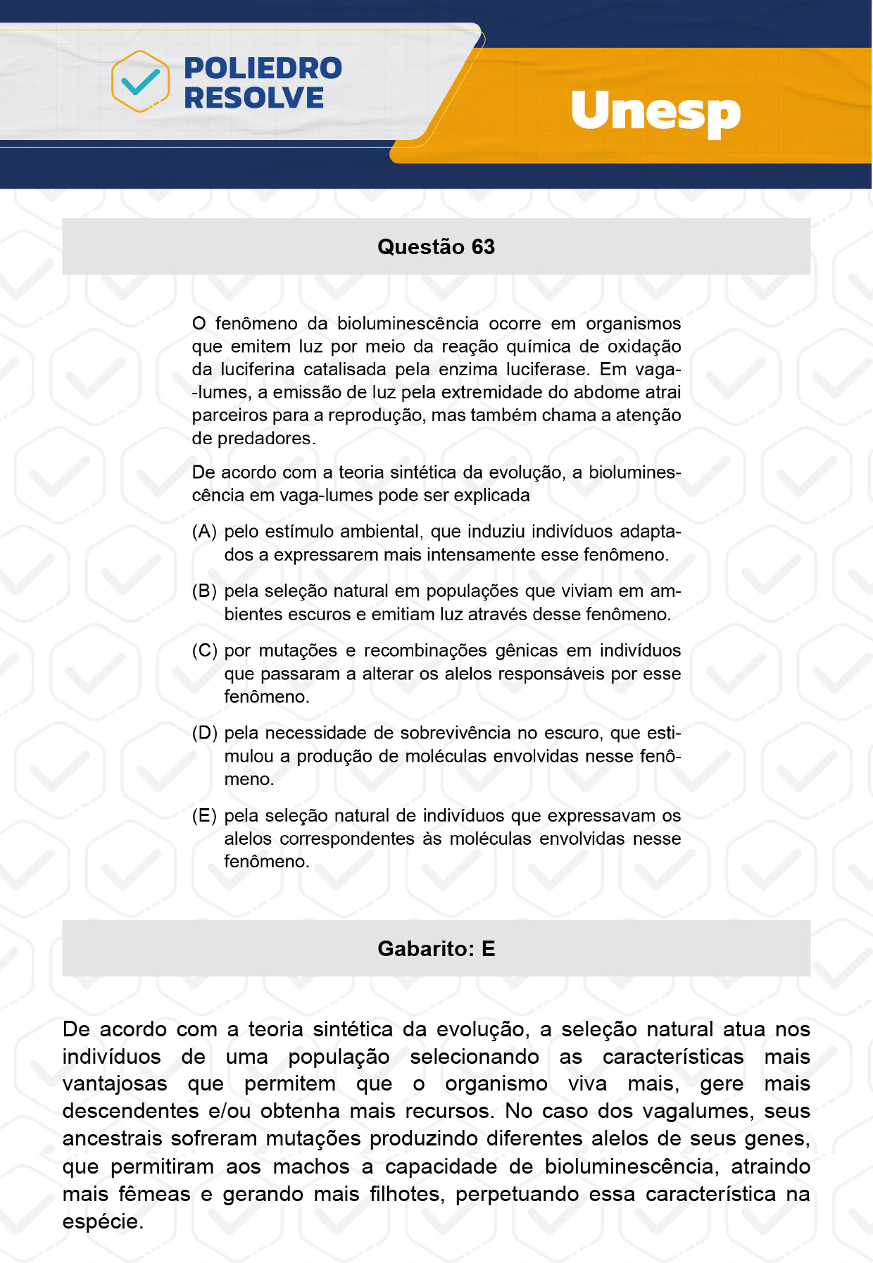 Questão 63 - 1ª Fase - UNESP 2024