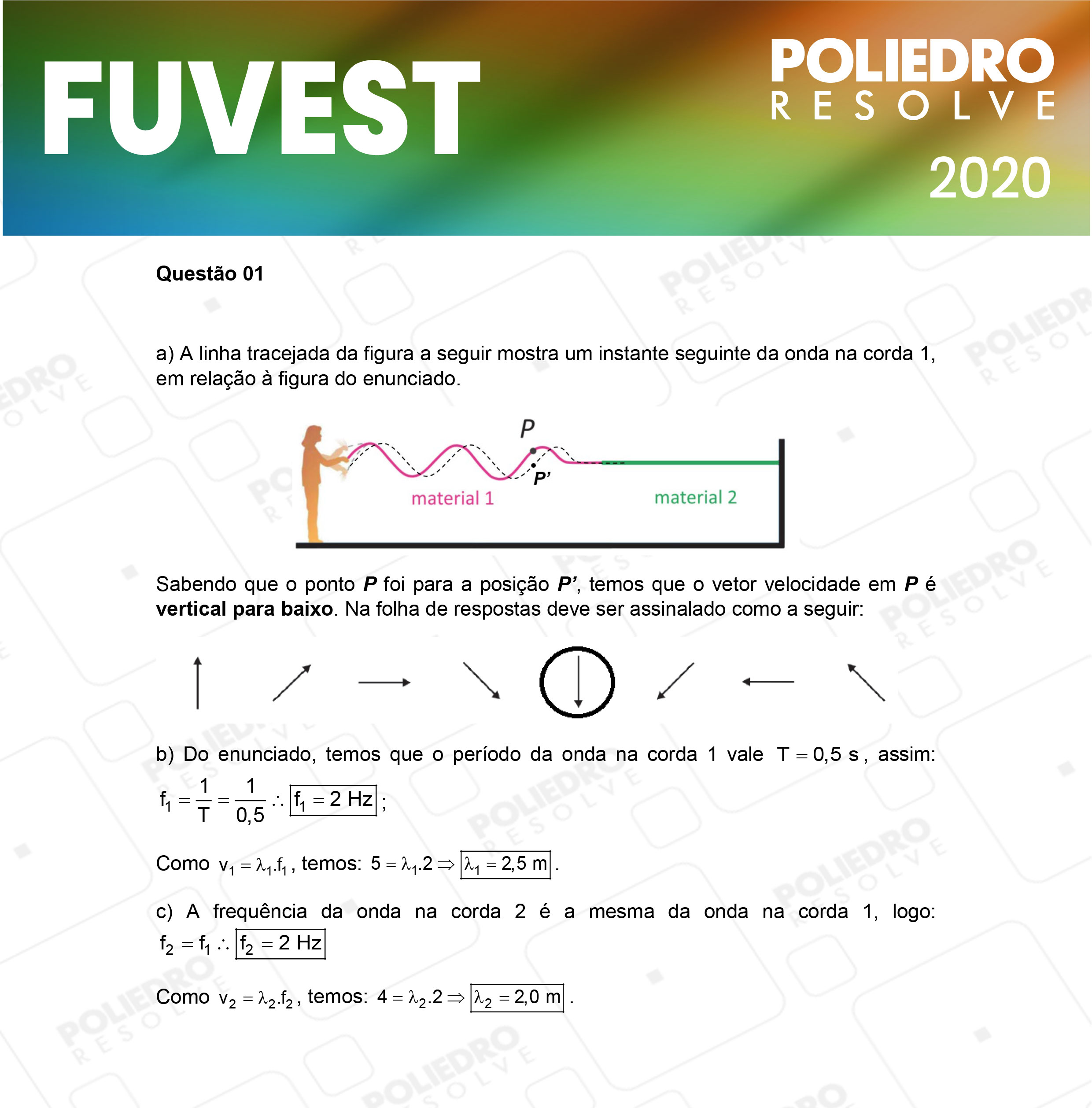 Dissertação 1 - 2ª Fase - 2º Dia - FUVEST 2020