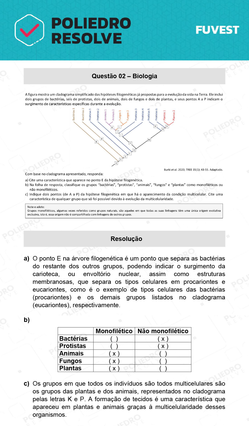 Dissertação 2 - 2ª Fase - 2º Dia - FUVEST 2022