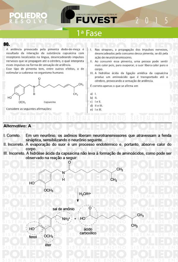Questão 80 - 1ª Fase - FUVEST 2015
