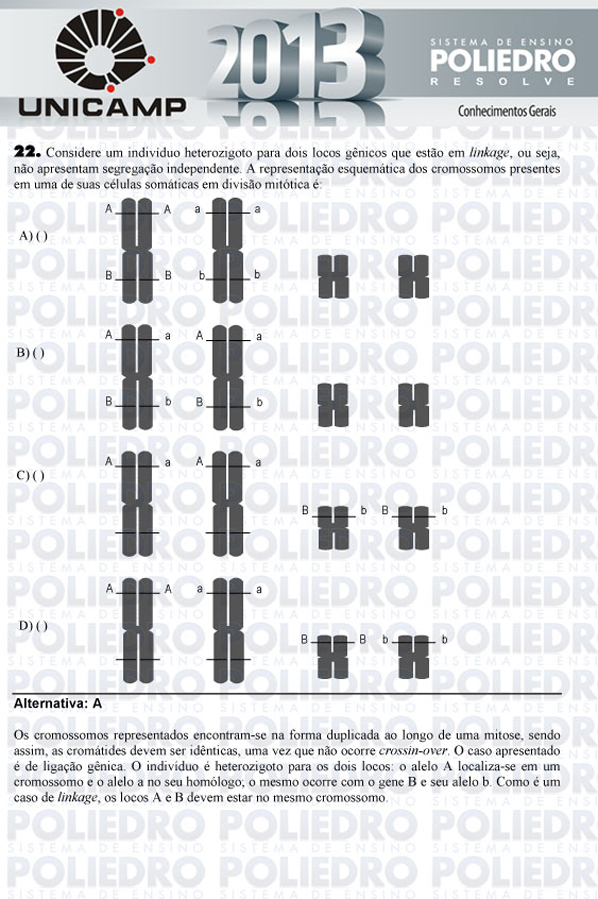 Questão 22 - 1ª Fase - UNICAMP 2013
