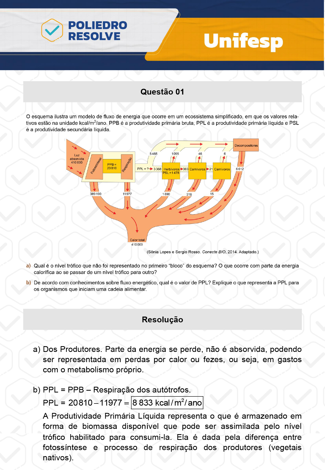 Dissertação 1 - 2º Dia - Reaplicação - UNIFESP 2024