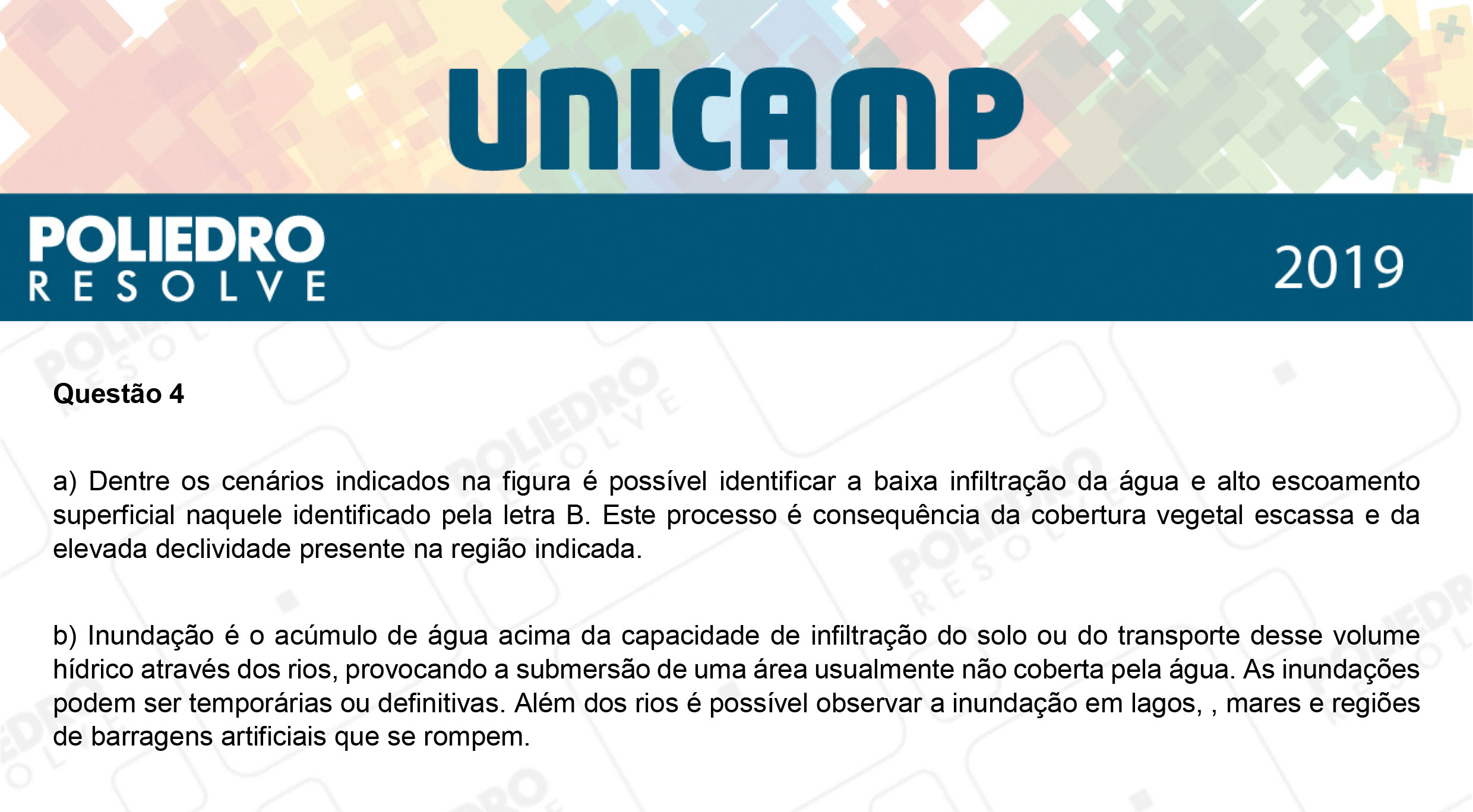 Dissertação 4 - 2ª Fase - 2º Dia - UNICAMP 2019