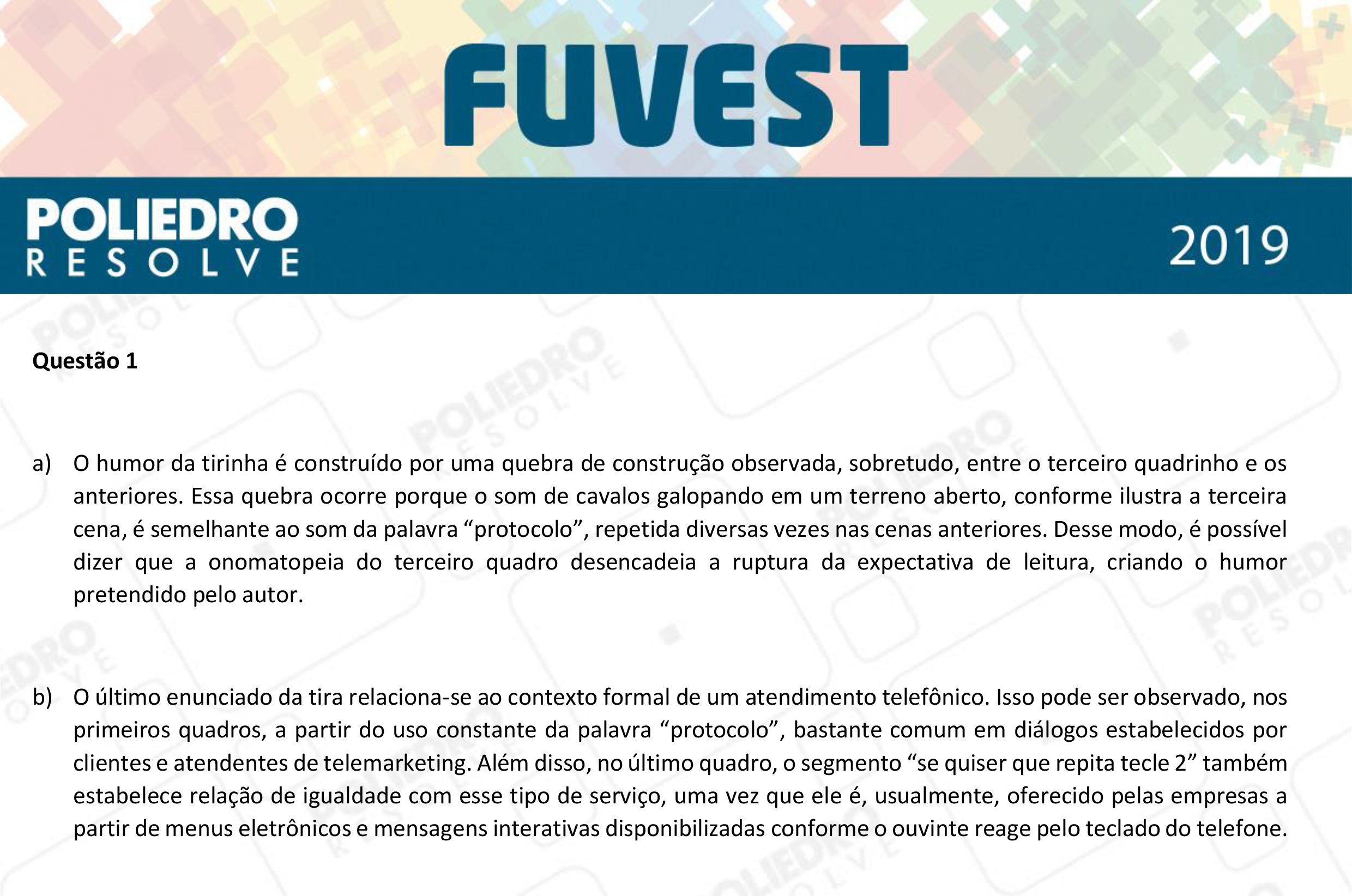 Dissertação 1 - 2ª Fase - 1º Dia - FUVEST 2019