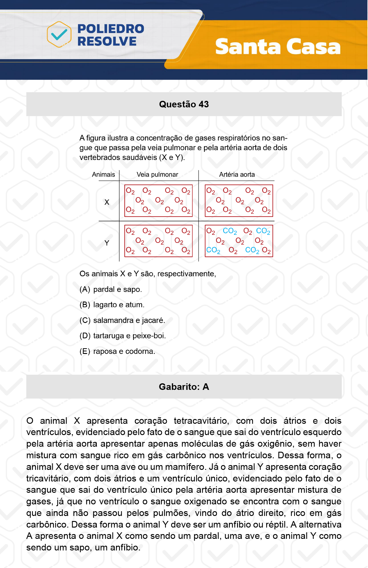 Questão 43 - 1º Dia - SANTA CASA 2024