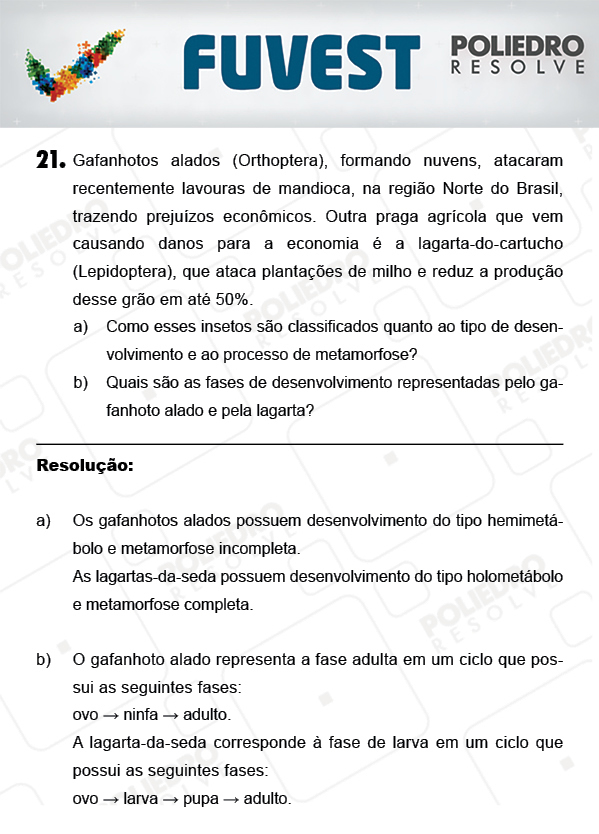 Dissertação 3 - 2ª Fase - 3º Dia - FUVEST 2018