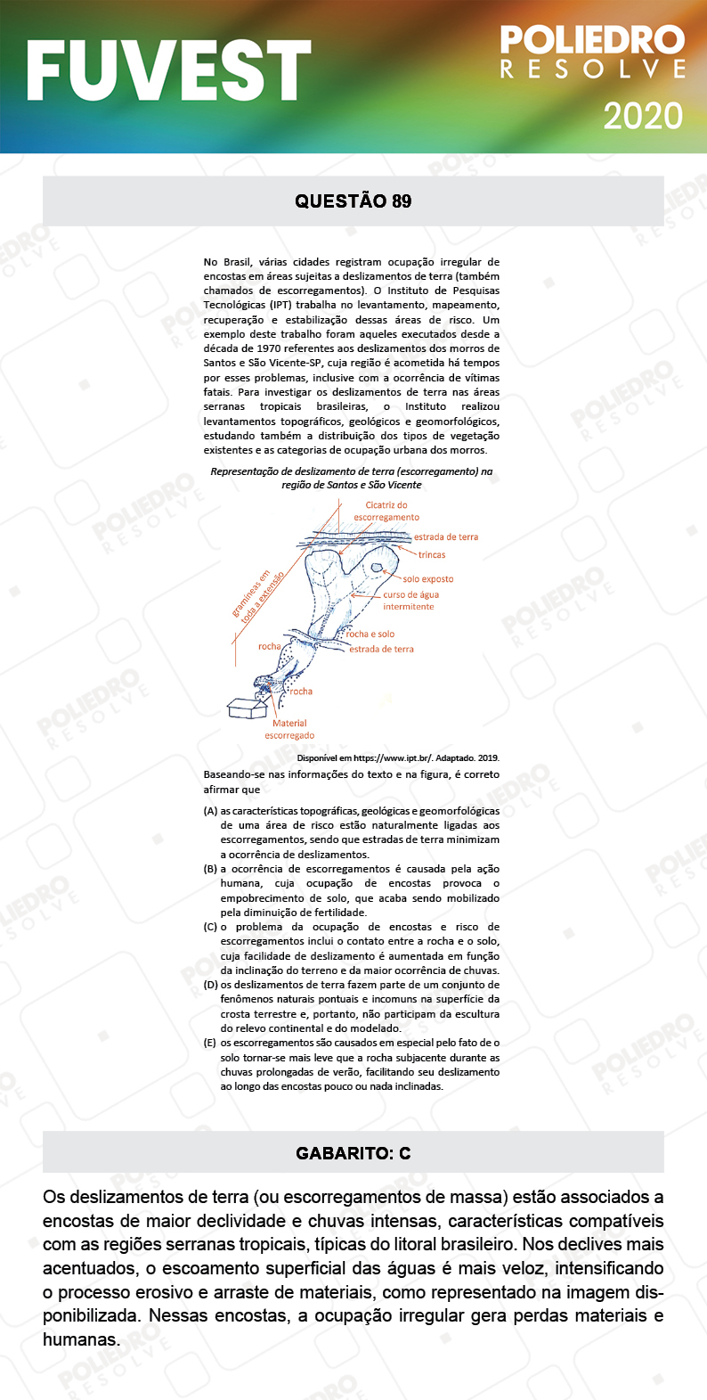 Questão 89 - 1ª Fase - Prova V - FUVEST 2020