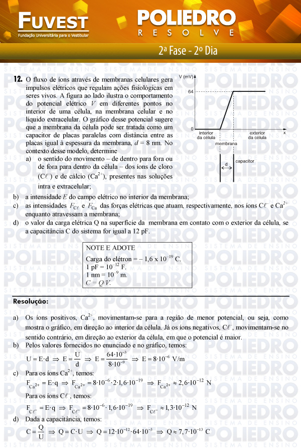 Dissertação 12 - 2ª Fase 2º Dia - FUVEST 2012