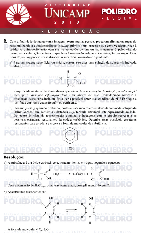 Dissertação 2 - 1ª Fase - UNICAMP 2010