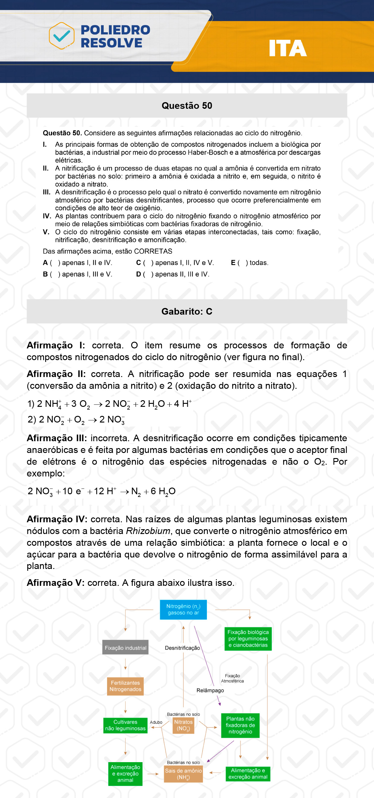 Questão 50 - 1ª Fase - ITA 2024