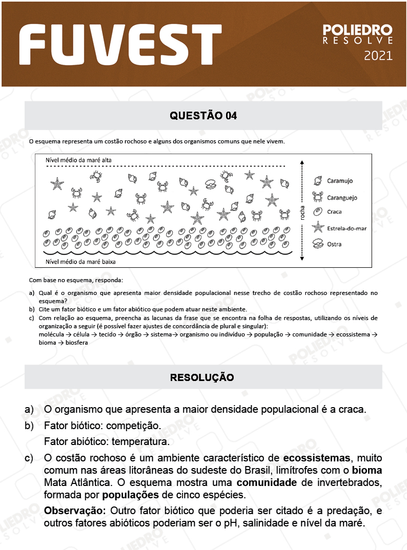 Dissertação 4 - 2ª Fase - 2º Dia - FUVEST 2021