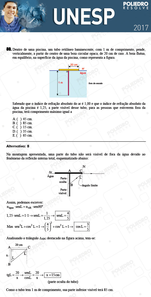 Questão 80 - 1ª Fase - UNESP 2017