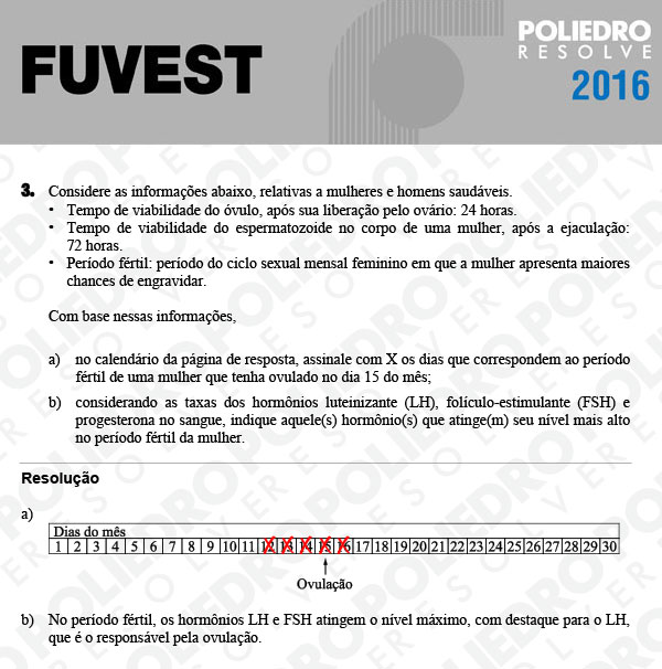 Dissertação 3 - 2ª Fase - 3º Dia - FUVEST 2016