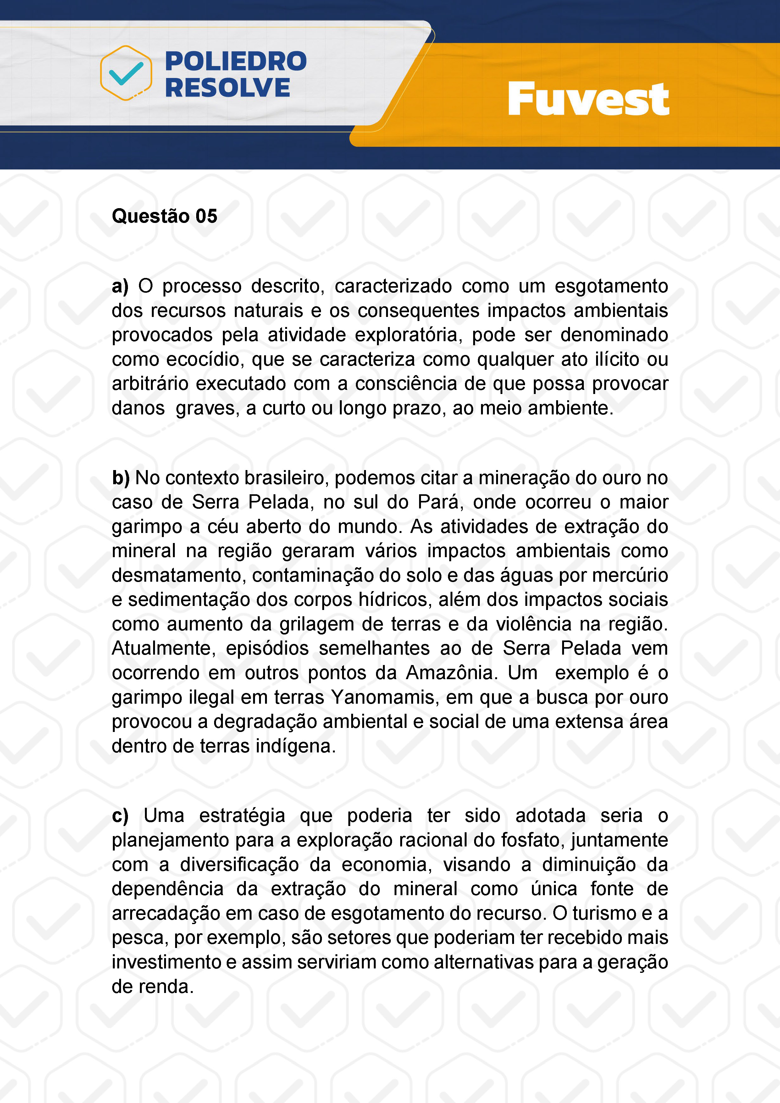 Dissertação 5 - 2ª Fase - 2º Dia - FUVEST 2024