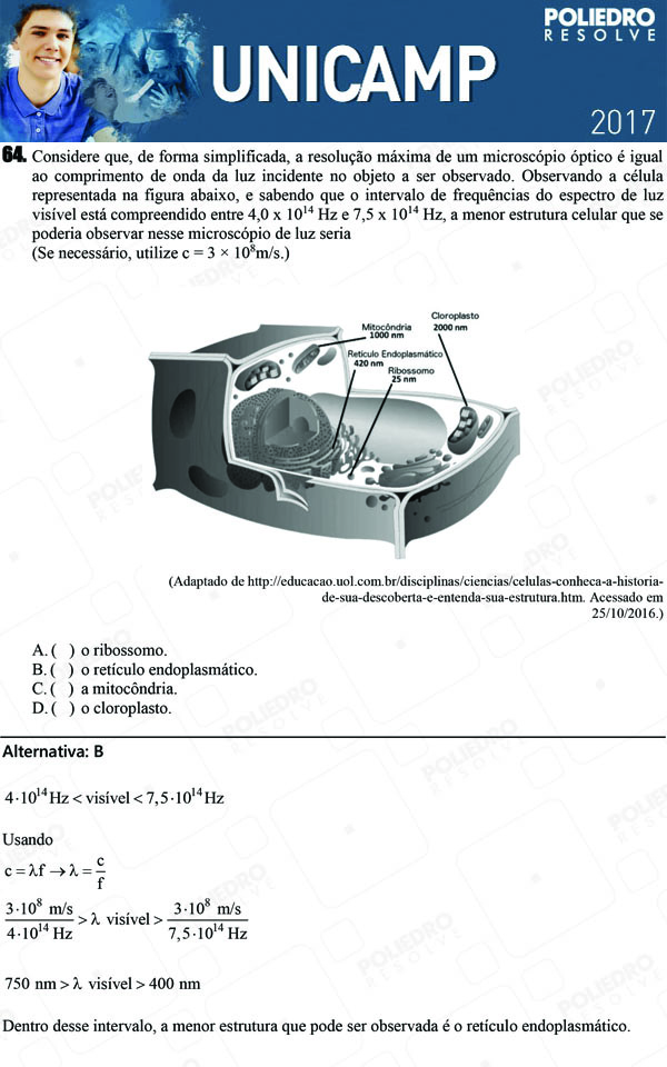 Questão 64 - 1ª Fase - UNICAMP 2017