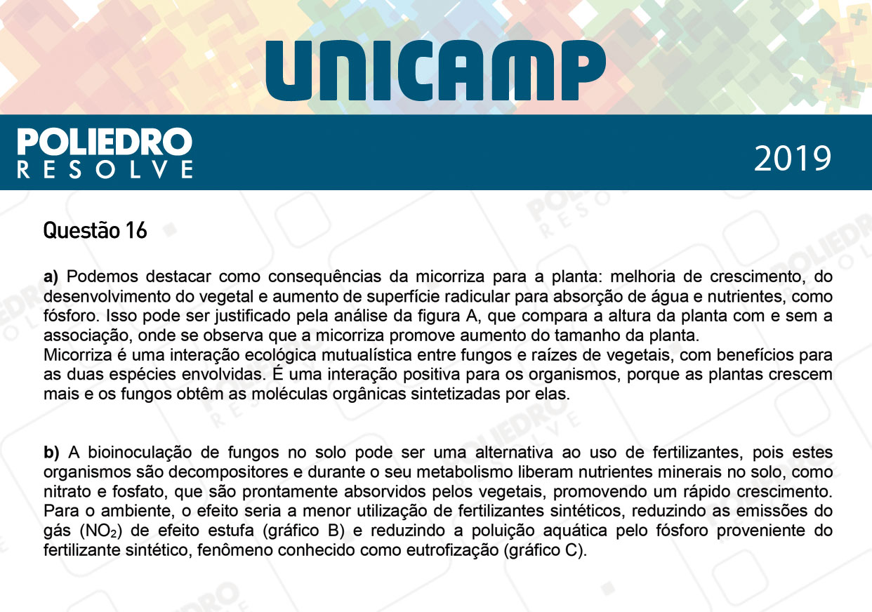 Dissertação 16 - 2ª Fase - 3º Dia - UNICAMP 2019