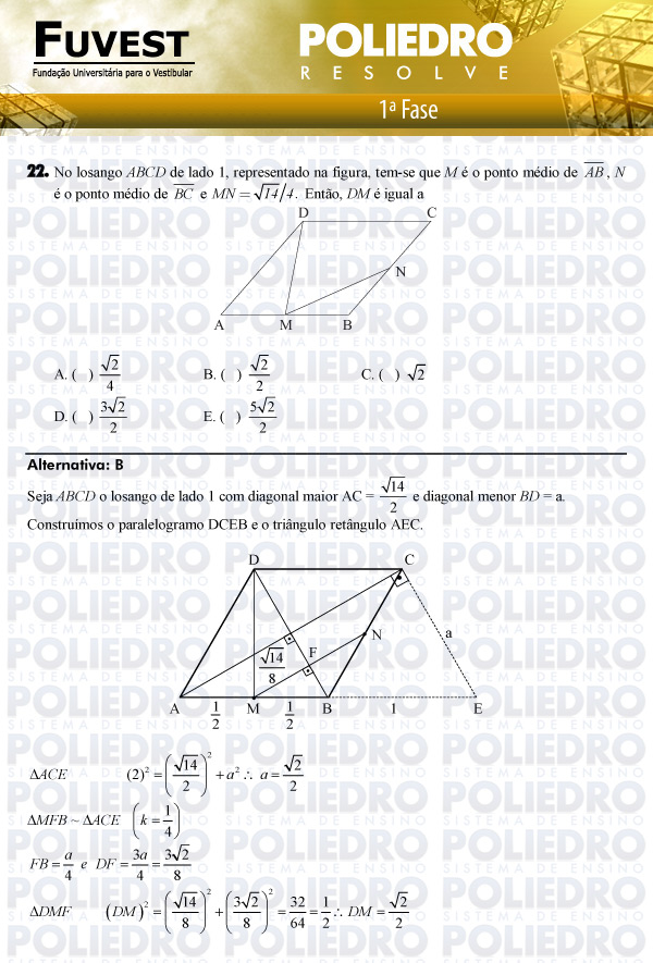 Questão 22 - 1ª Fase - FUVEST 2011