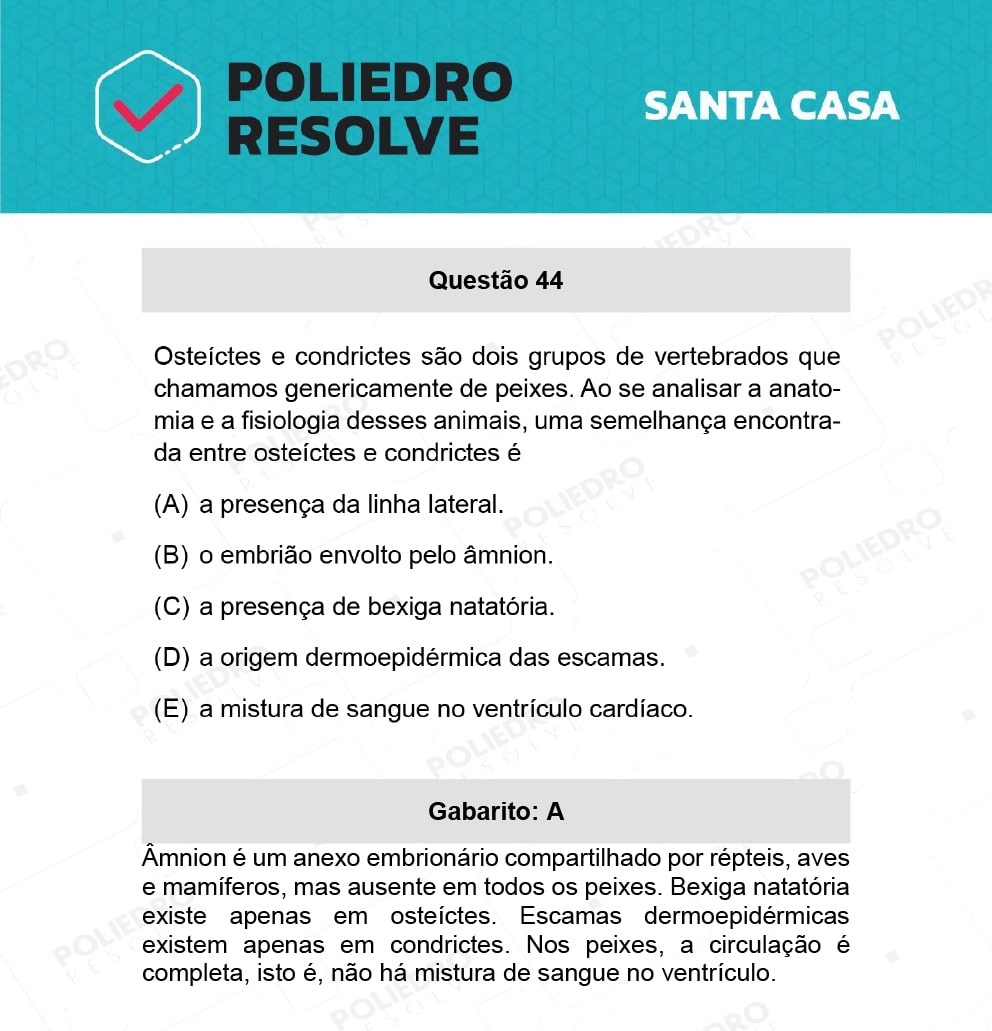 Questão 44 - 1º Dia - SANTA CASA 2022