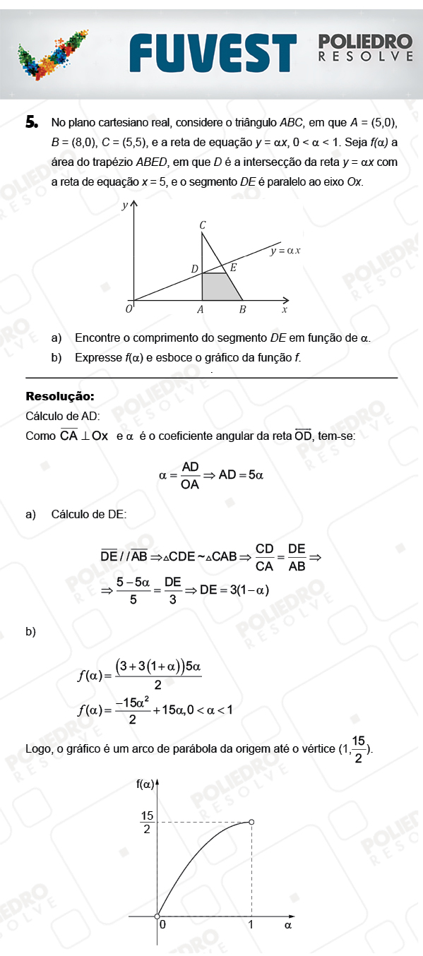 Dissertação 5 - 2ª Fase - 2º Dia - FUVEST 2018