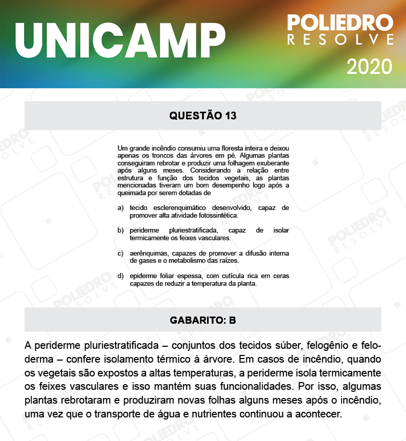 Questão 13 - 1ª Fase - Prova Q e X - UNICAMP 2020