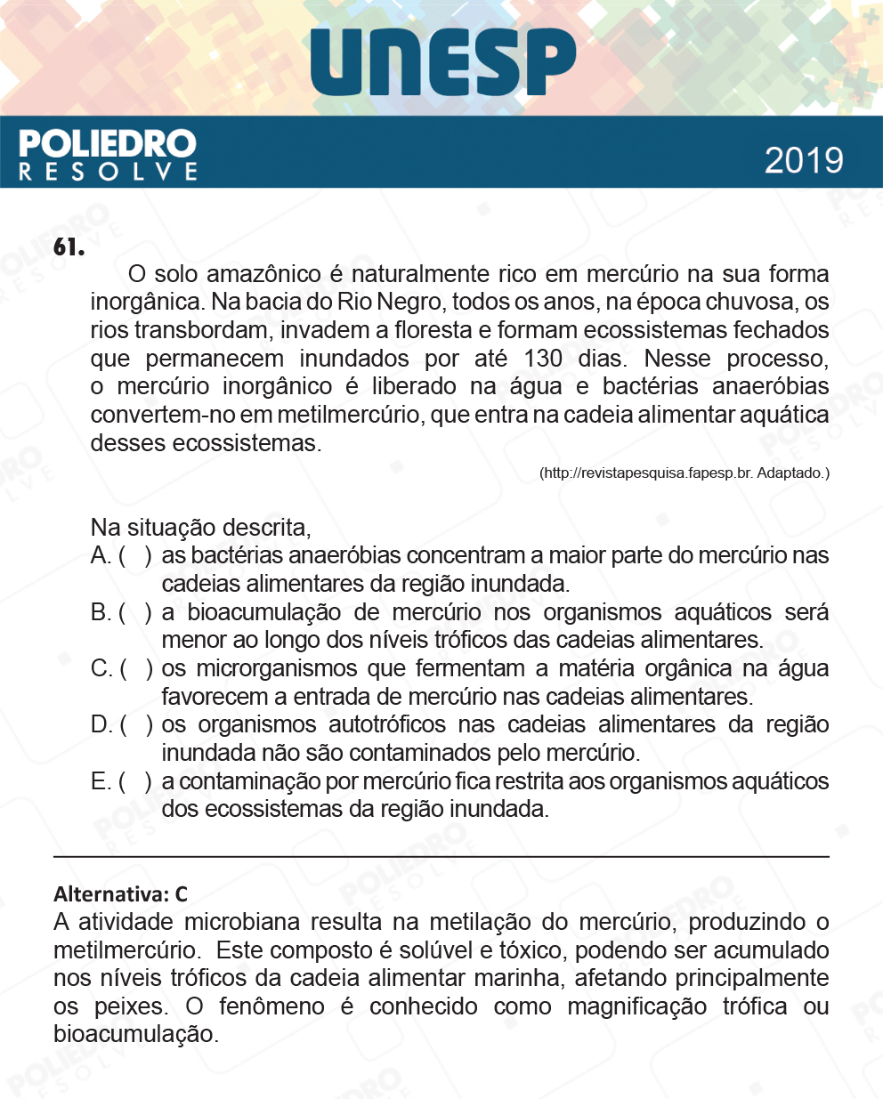 Questão 61 - 1ª Fase - UNESP 2019