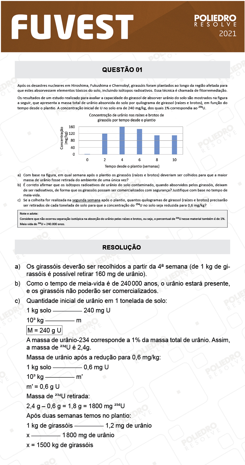 Dissertação 1 - 2ª Fase - 2º Dia - FUVEST 2021