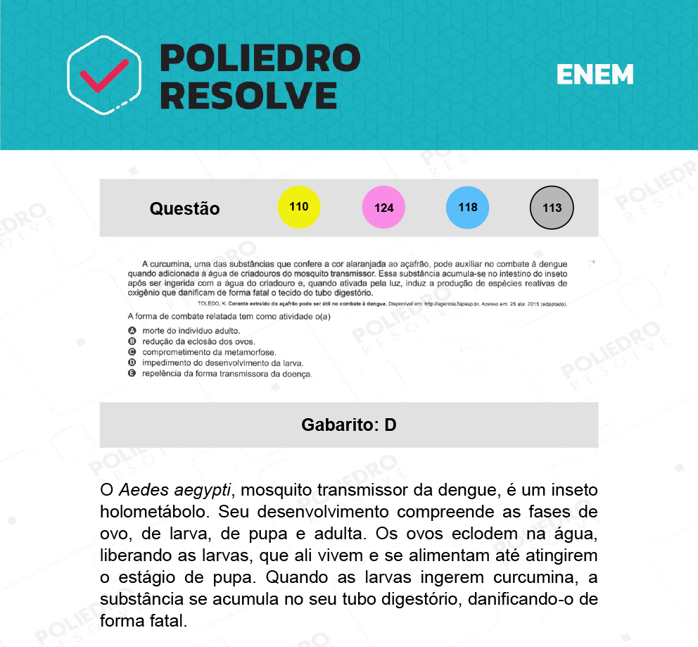 Questão 113 - 2º Dia - Prova Cinza - ENEM 2021