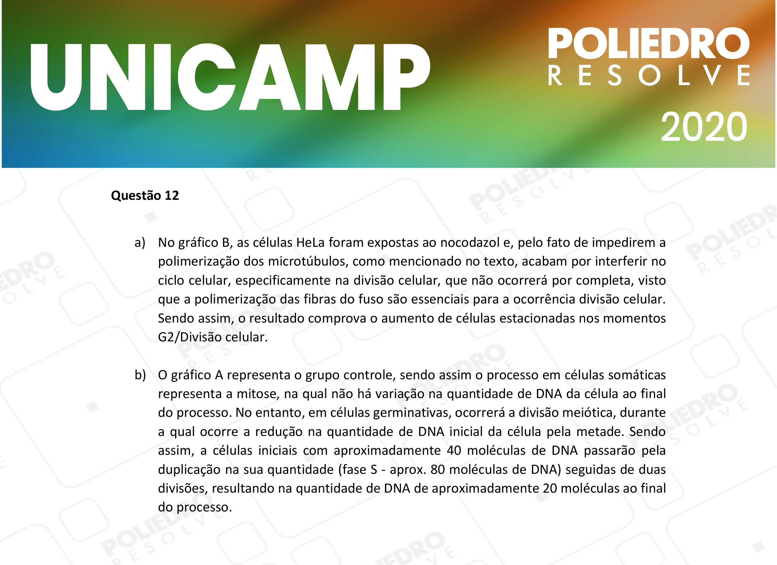 Dissertação 12 - 2ª Fase - 2º Dia - UNICAMP 2020