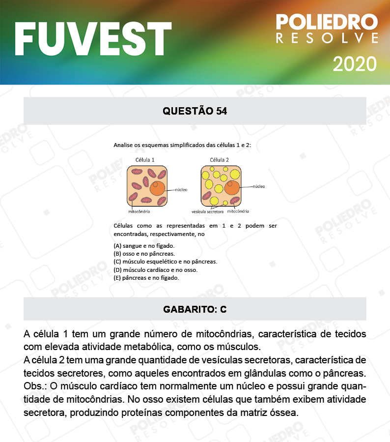 Questão 54 - 1ª Fase - Prova V - FUVEST 2020