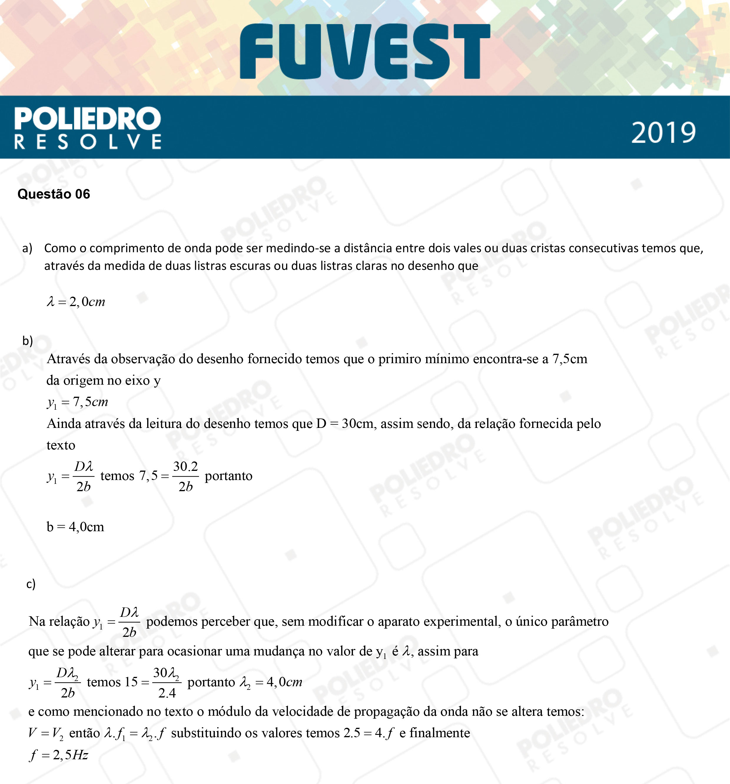 Dissertação 6 - 2ª Fase - 2º Dia - FUVEST 2019