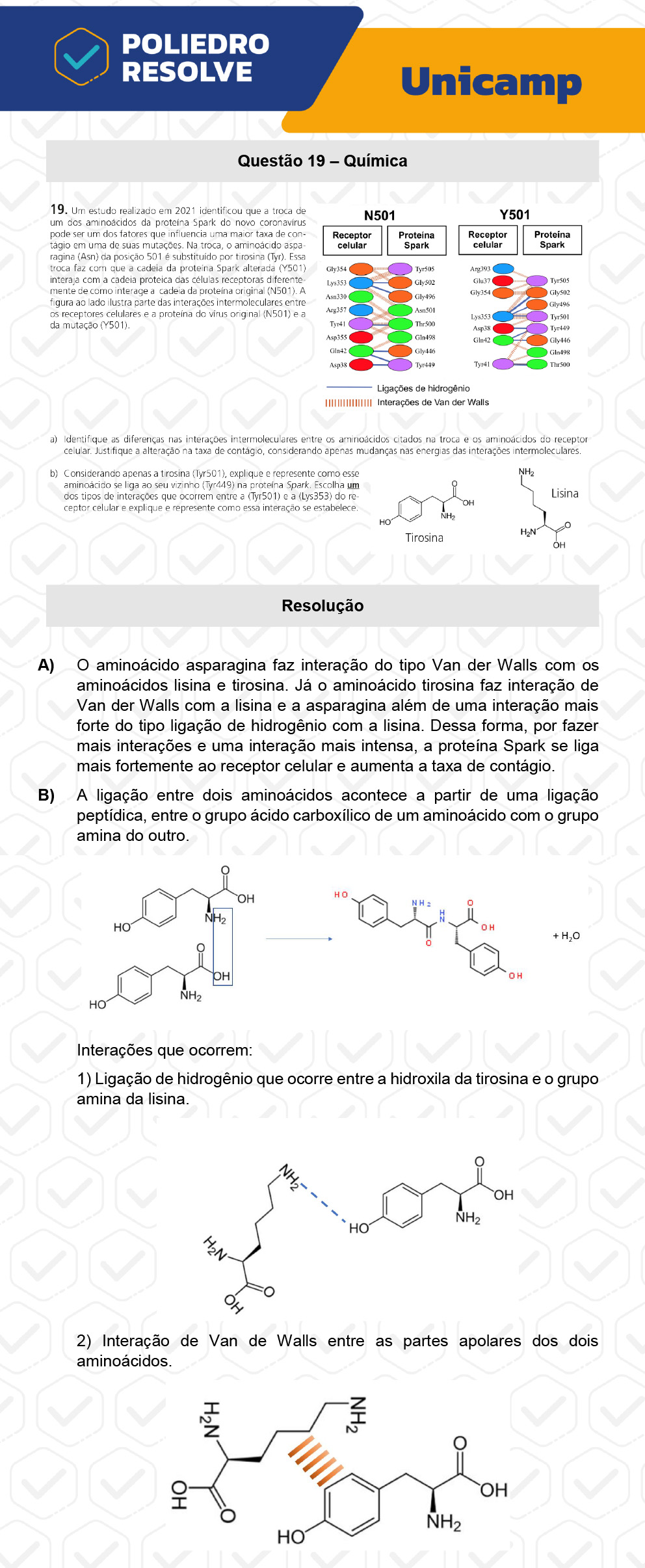 Dissertação 19 - 2ª Fase - 2º Dia - UNICAMP 2023