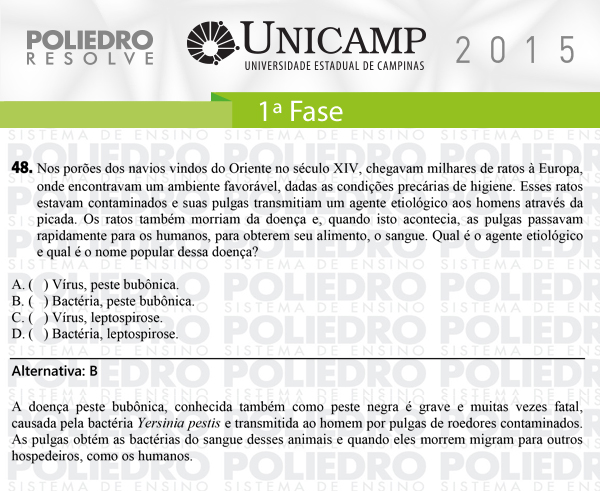 Questão 48 - 1ª Fase - UNICAMP 2015