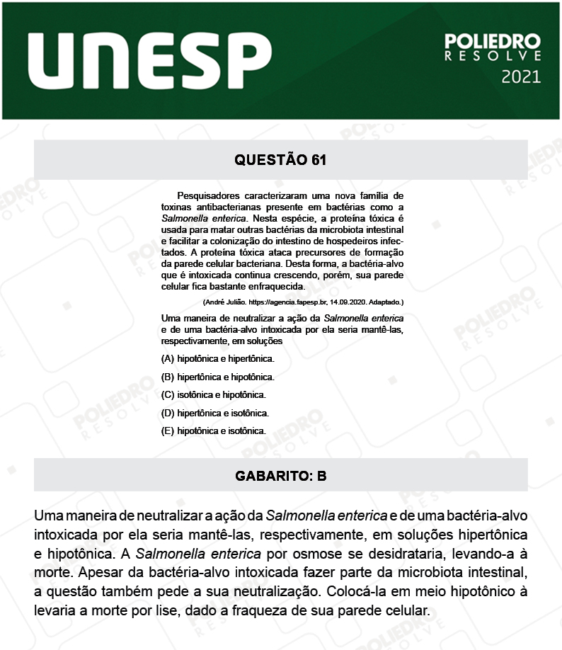 Questão 61 - 1ª Fase - 2º Dia - UNESP 2021