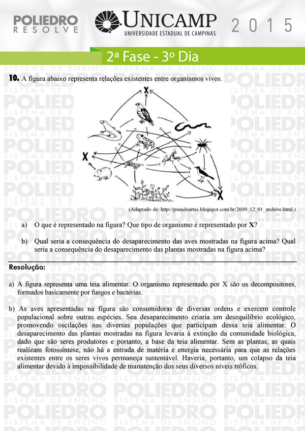 Dissertação 10 - 2ª Fase 3º Dia - UNICAMP 2015