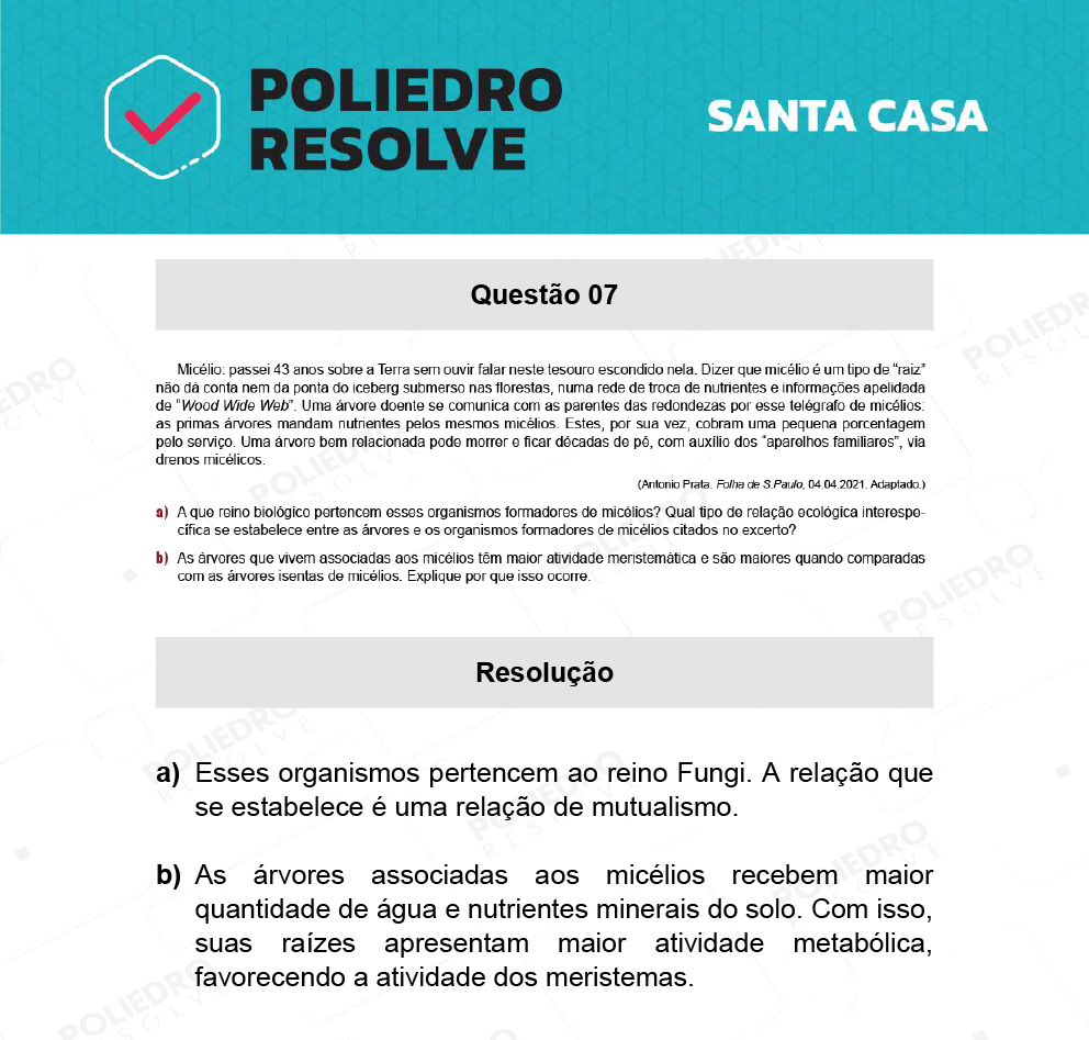 Dissertação 7 - 2º Dia - SANTA CASA 2022