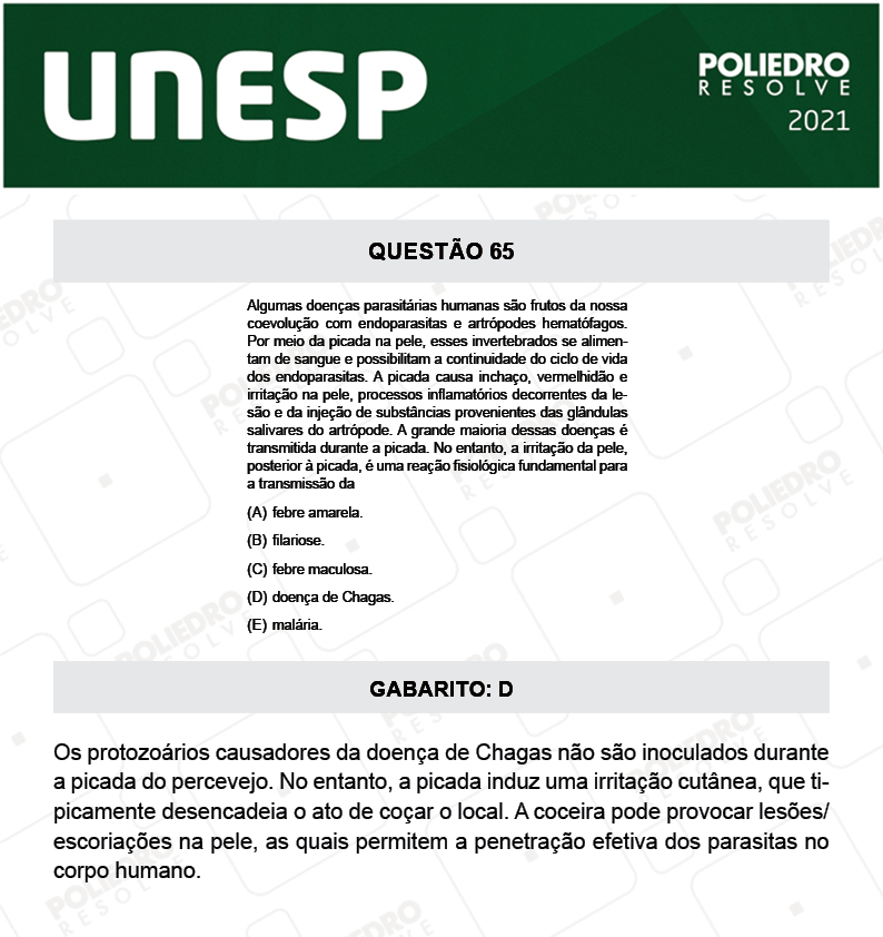 Questão 65 - 1ª Fase - 2º Dia - UNESP 2021