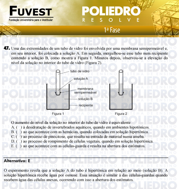 Questão 47 - 1ª Fase - FUVEST 2011