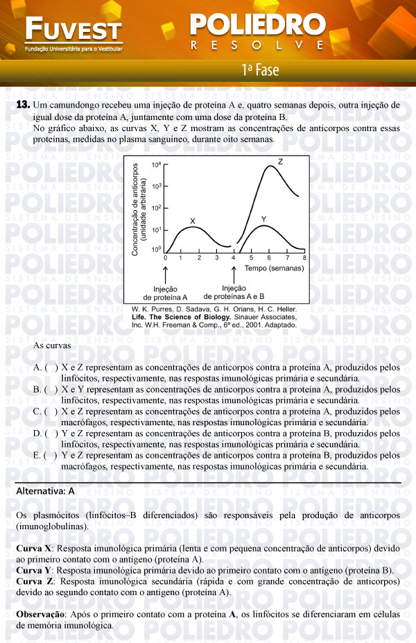 Questão 13 - 1ª Fase - FUVEST 2012