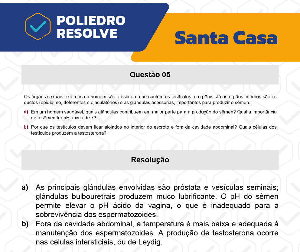 Dissertação 5 - 2º Dia - SANTA CASA 2023