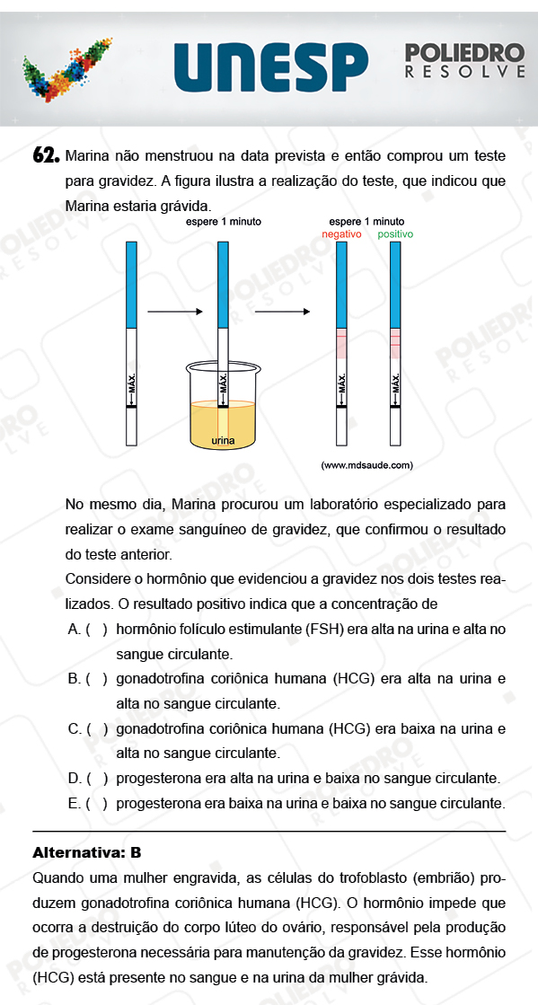 Questão 62 - 1ª Fase - PROVA 4 - UNESP 2018