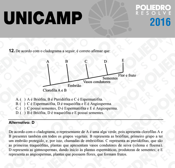 Questão 12 - 1ª Fase - UNICAMP 2016