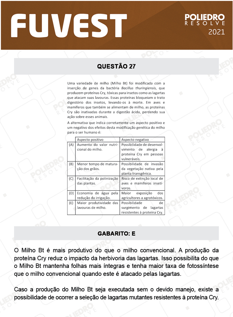 Questão 27 - 1ª Fase - FUVEST 2021