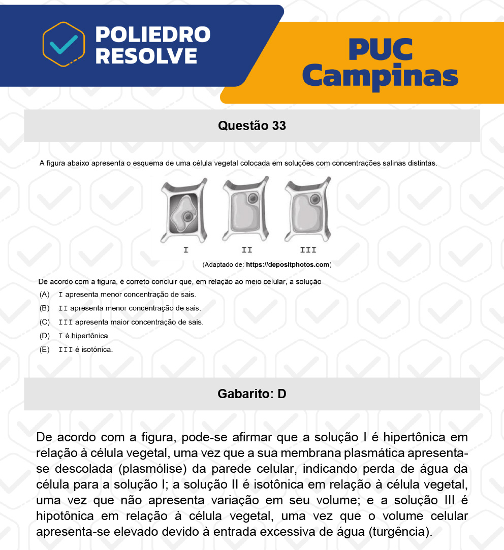 Questão 33 - Prova Geral e Medicina - PUC-Campinas 2023