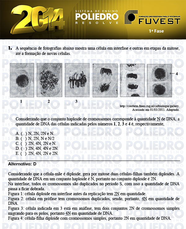 Questão 1 - 1ª Fase - FUVEST 2014