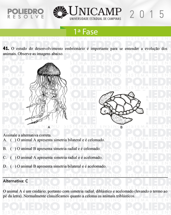 Questão 41 - 1ª Fase - UNICAMP 2015